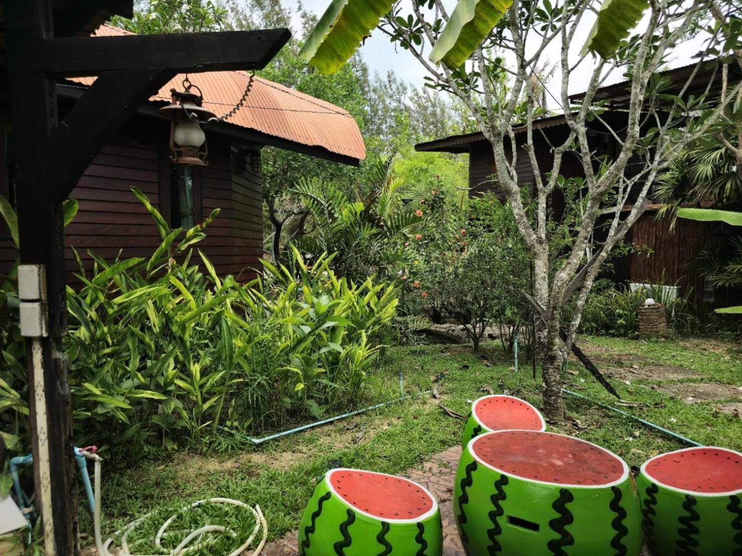 Kaengkrachan Boathouse Paradise Resort Kaeng Kachan Δωμάτιο φωτογραφία